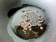 糖醋排骨的家常做法