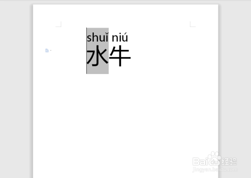 水牛拼音怎么拼写