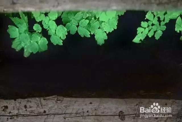 教你如何学习对焦,让你图片不在毁掉