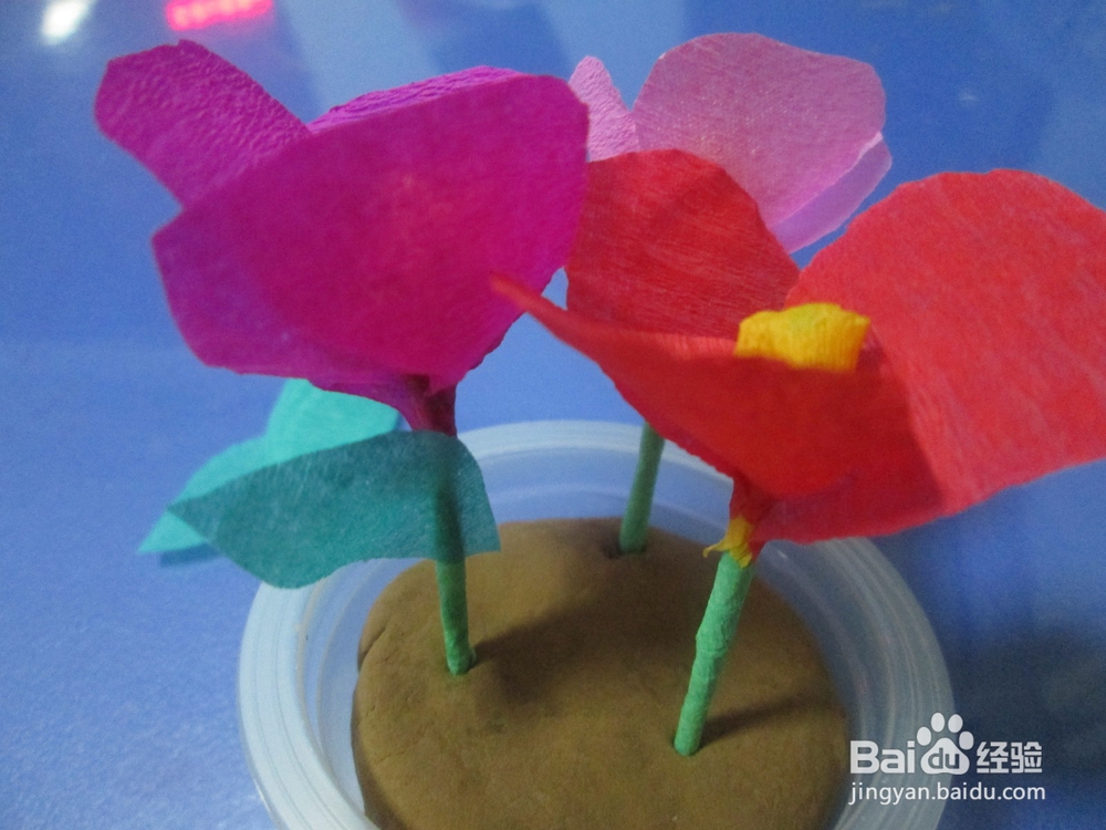 果冻盒子制作漂亮的小盆栽