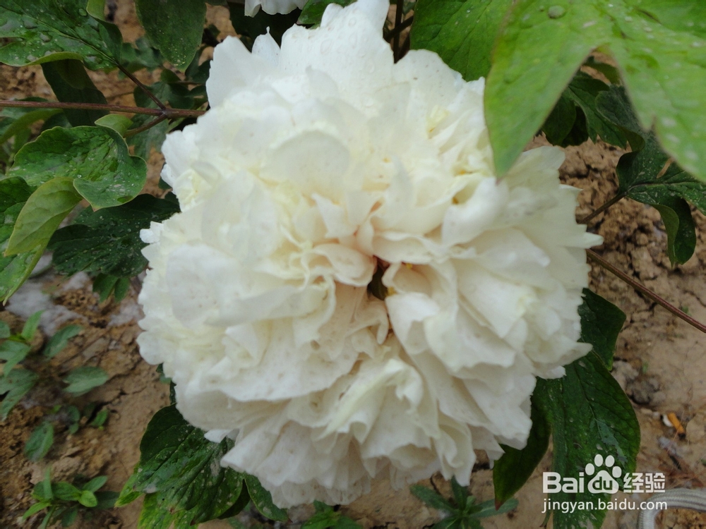 健康养生，快乐之本