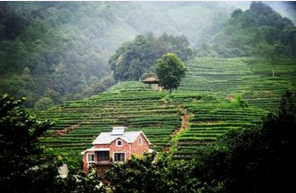 杭州不拥挤的景点——九溪