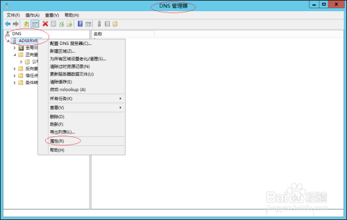 Windows Server 2012测试DNS服务器的简单查询