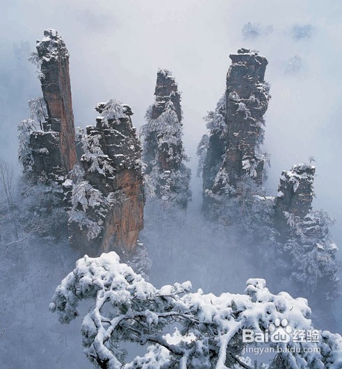 张家界旅游攻略—最详细实用的必备资料