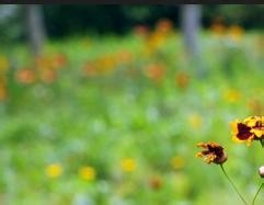 监理施工要点48