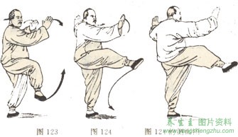 杨式太极拳第三十一式左右分脚之右分脚