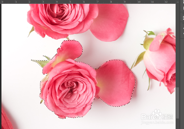 PS怎么用钢笔工具抠图