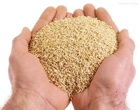 燕麦片怎么吃才减肥