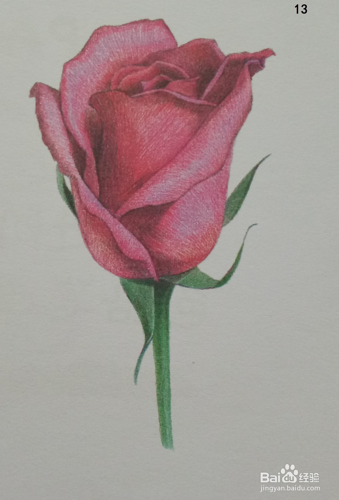 色铅笔画一朵红玫瑰(素描进阶)