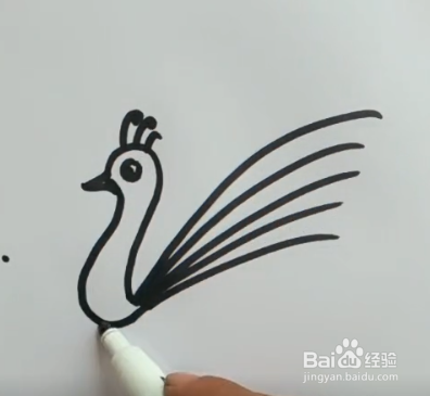 怎样简笔画孔雀