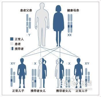 鸡皮肤怎么办鸡皮肤是什么原因引起的