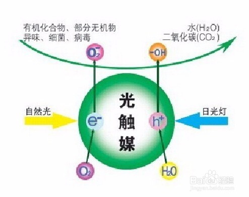 除甲醛最有效方法