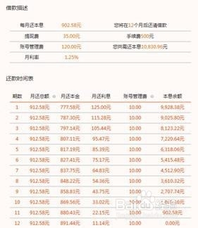 如何选择适合自己的借款项目