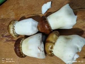 教你怎么做松茸鸡汤