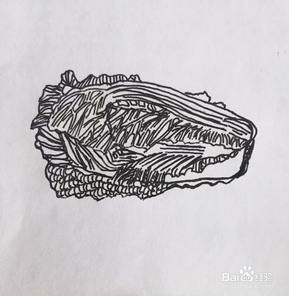 茉莉手绘之白菜与豆腐