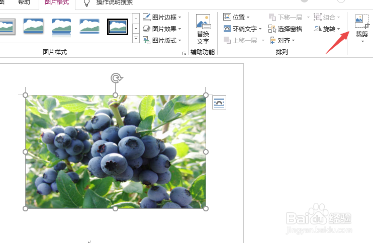 word2007如何裁剪图片
