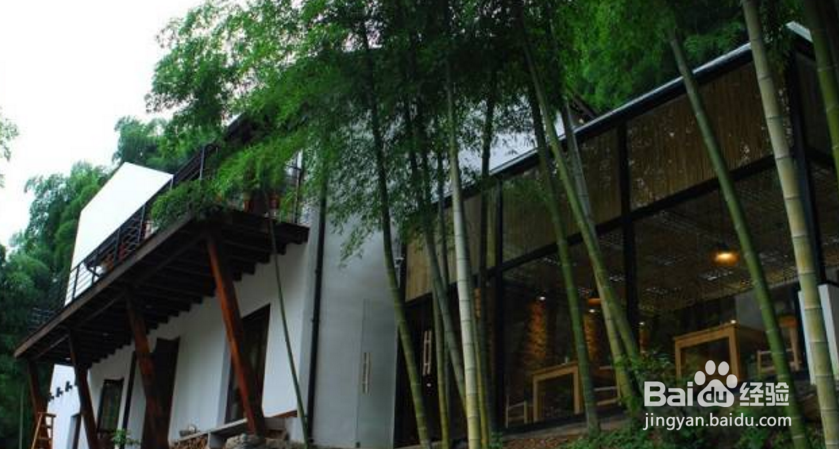余杭鸬鸟镇旅游攻略