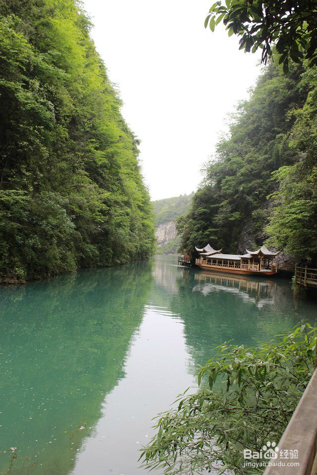 你知道这里多美吗?——张家界大峡谷