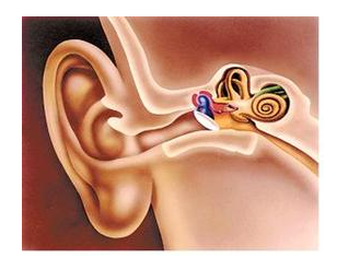 得了狐臭应该怎么办?