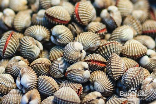 海边挖蚶子有什么技巧