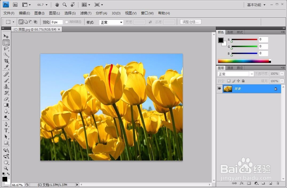 鱼鱼手工 图片处理-PS修改图片尺寸
