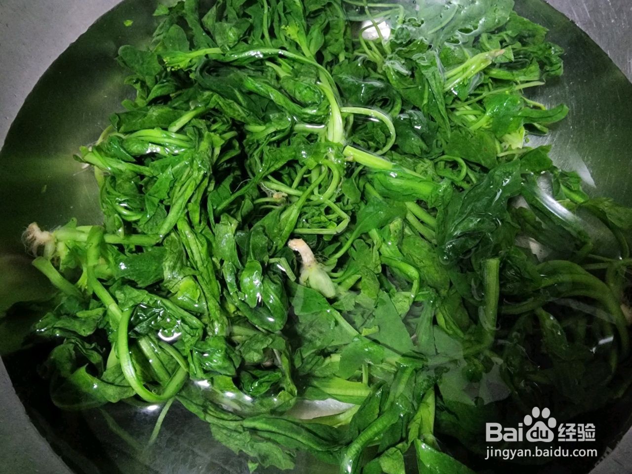 荠菜鲜肉馄饨怎么做