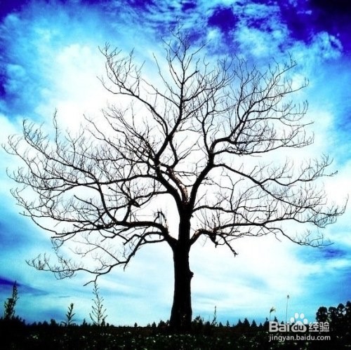 逗女孩子开心的小方法