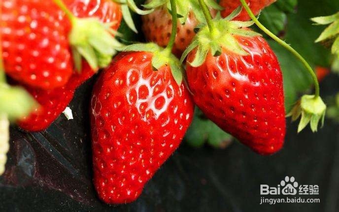 怎么洗水果才算干净?