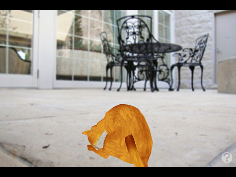 触摸式宠物猫逼真阿比西尼亚猫3D