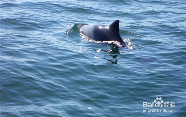 游摄纳米比亚之纳米比亚摄影创作地点—鲸湾港