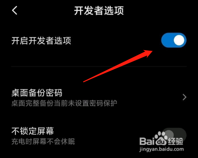 小米10s开发者选项怎么开