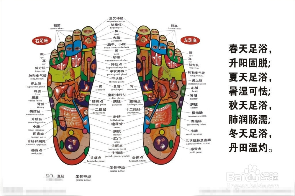 2015身在职场的你养生了吗?