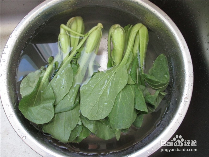 白灼油菜沙拉汁凉拌面