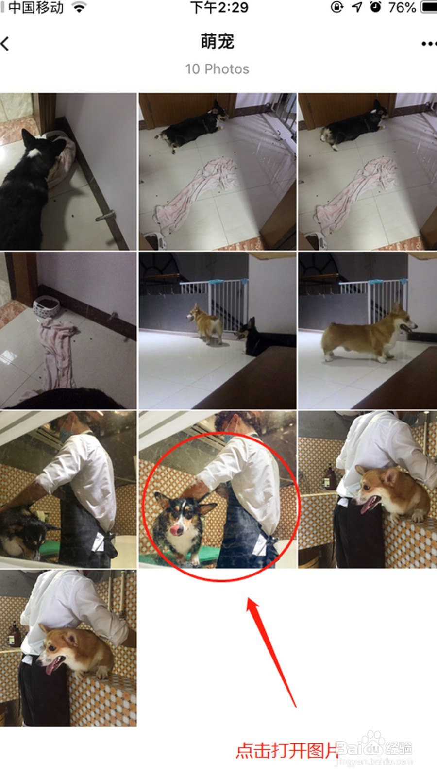 苹果手机怎么快速整理图片