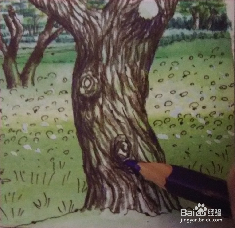 花草树木风景的画法