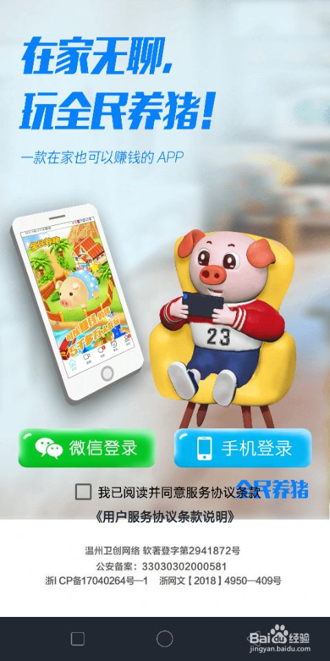 全民养猪怎么玩