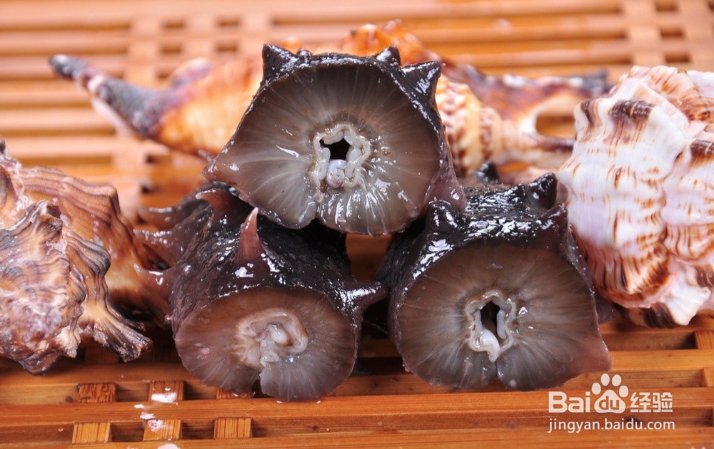 海参怎么看好坏