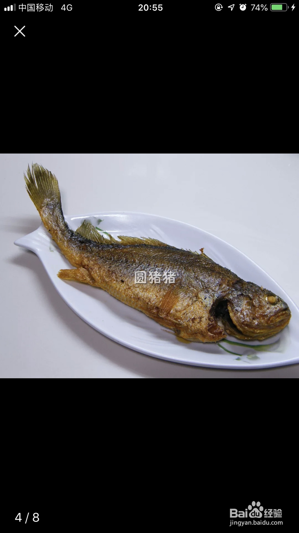 怎么做红烧黄花鱼向阳?