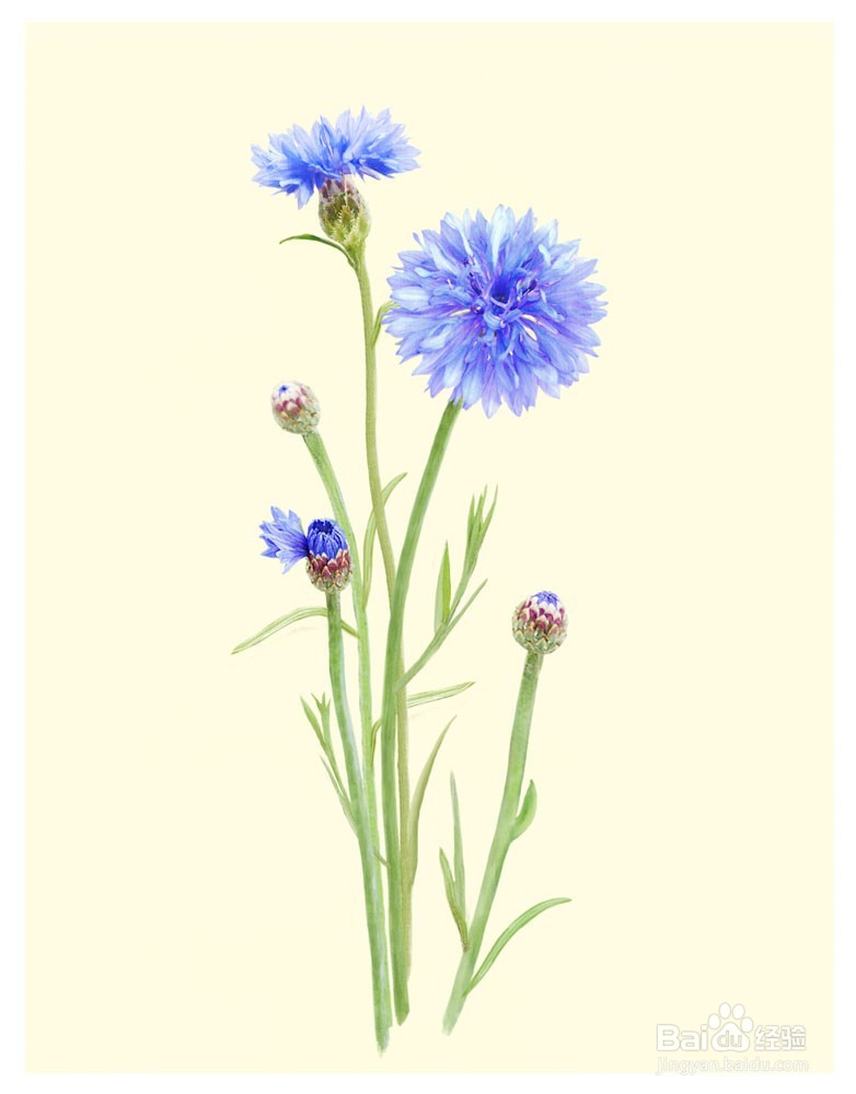 爱画画的您,应该知道的一点常识