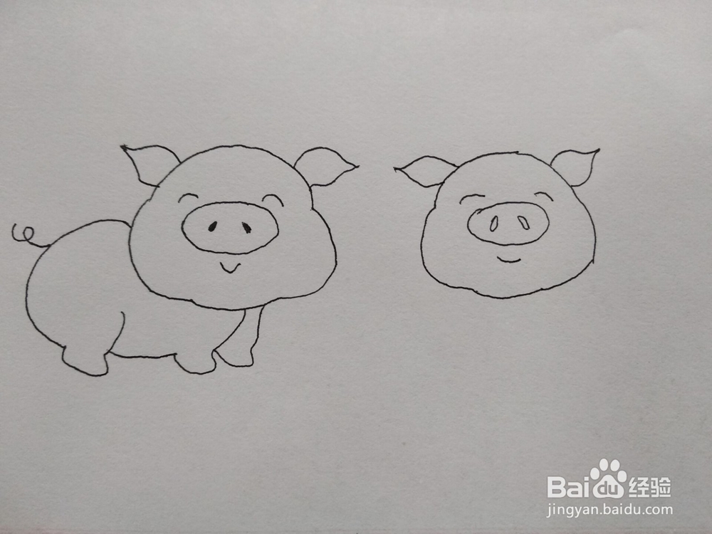 猪年爱心猪简笔画方法