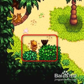 星露谷物语中金核桃如何获取