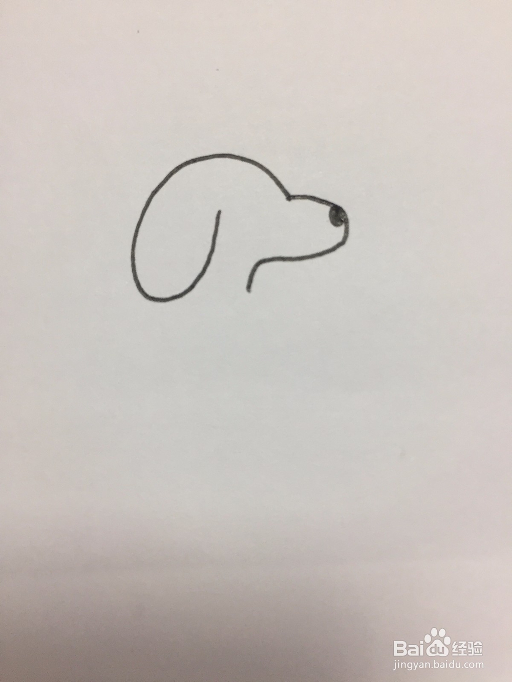 狗狗的简笔画画法