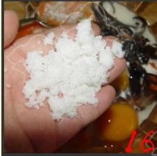 适合高血压病人食用的“海中黄金”——炒素蟹黄