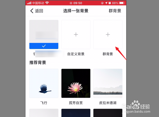 钉钉群聊天窗口背景图片怎么修改