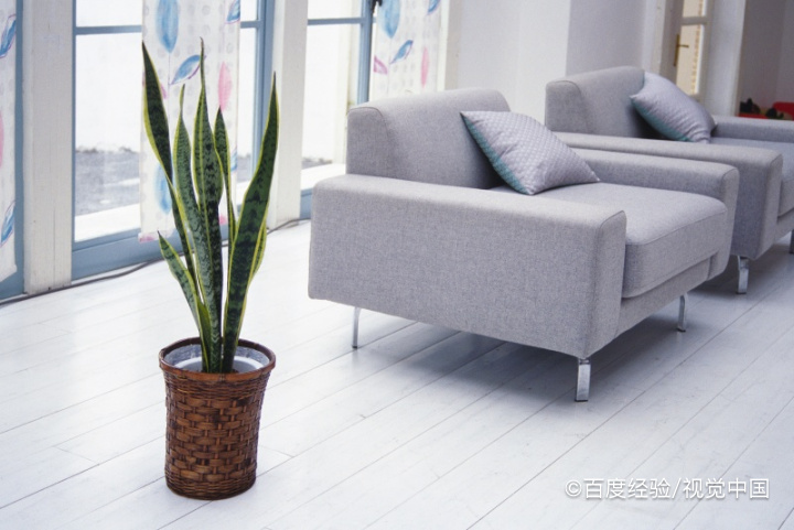 入户门对厕所的最佳处理方案