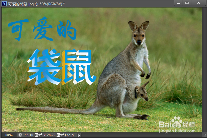 PS中的文字和路径
