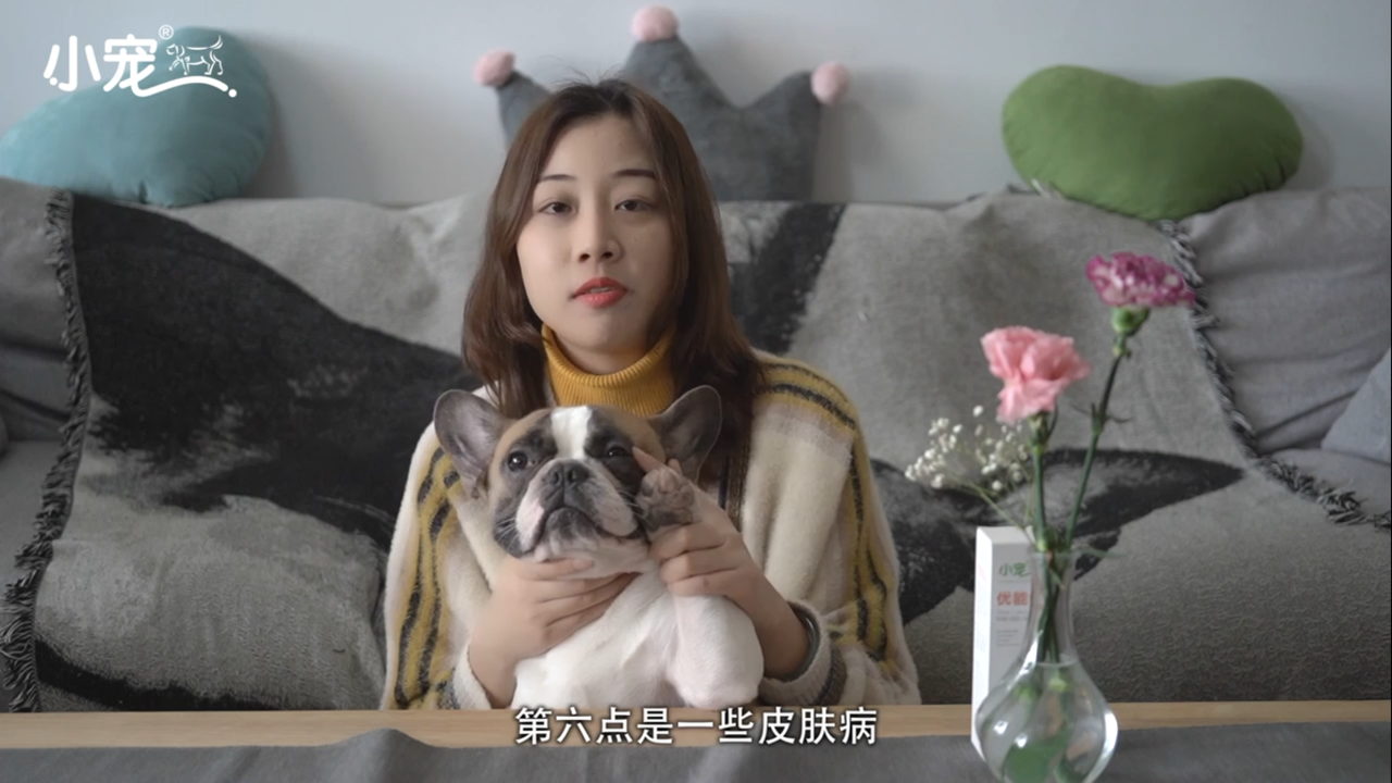 狗狗鼻子为什么会干裂