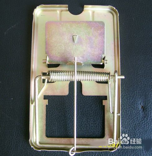 超市灭鼠方法