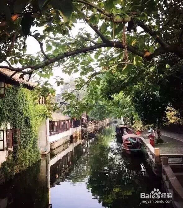 周庄游玩分享—静美周庄