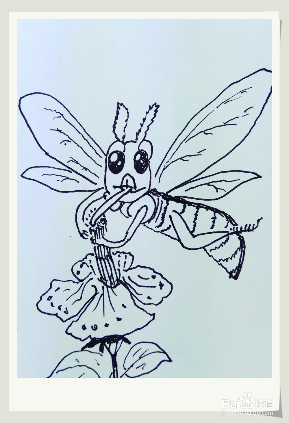 怎样画简笔画“小蜜蜂采蜜糖”？